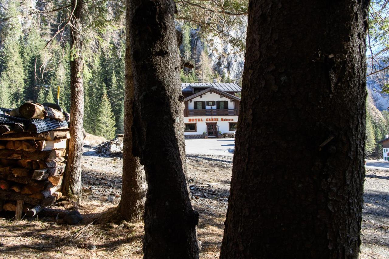 Hotel Garni Roberta Malga Ciapela Dış mekan fotoğraf